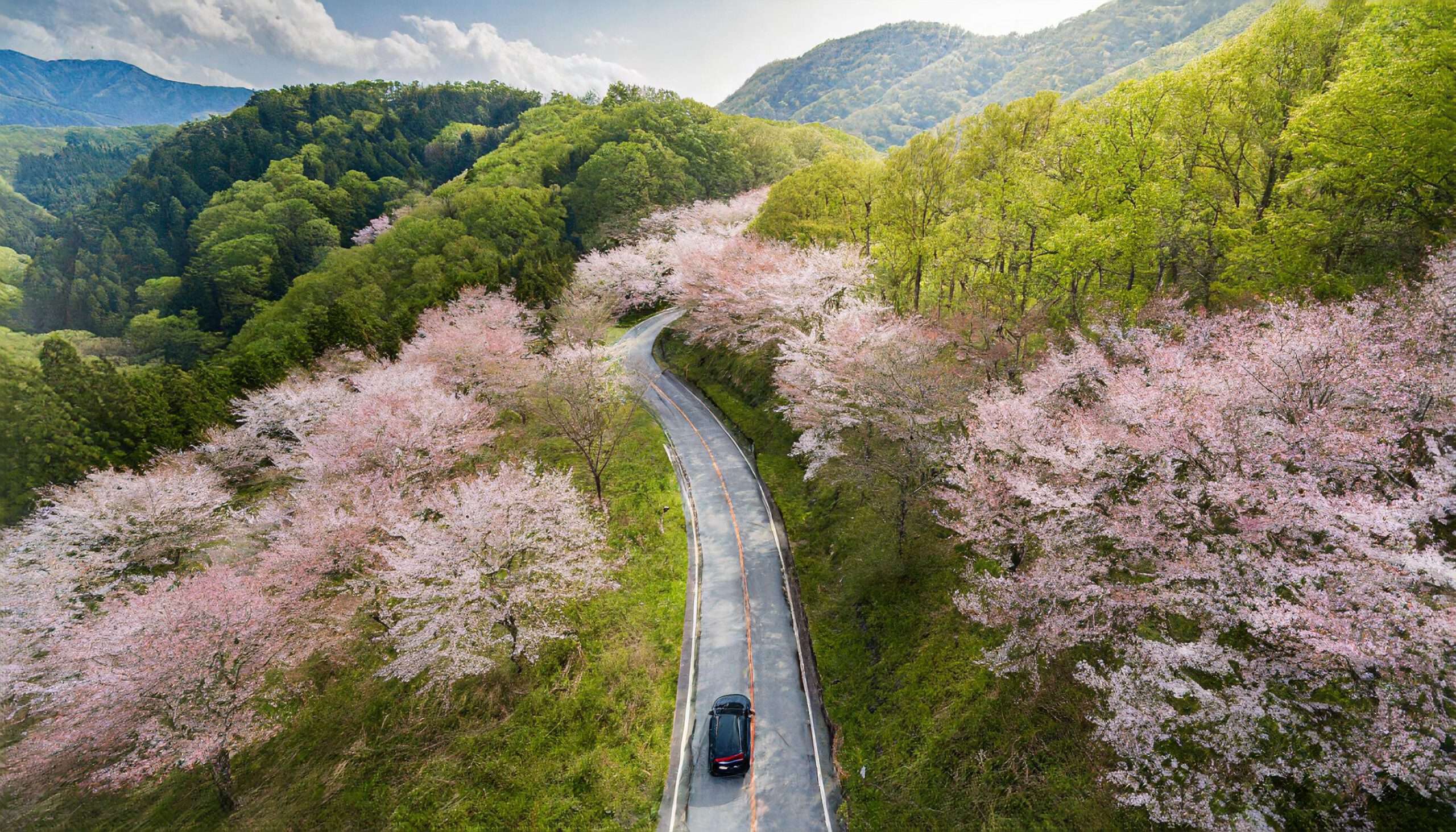 【春の旅】春の訪れを感じられる！鉄道とレンタカーを組み合わせて楽しむ旅行プラン